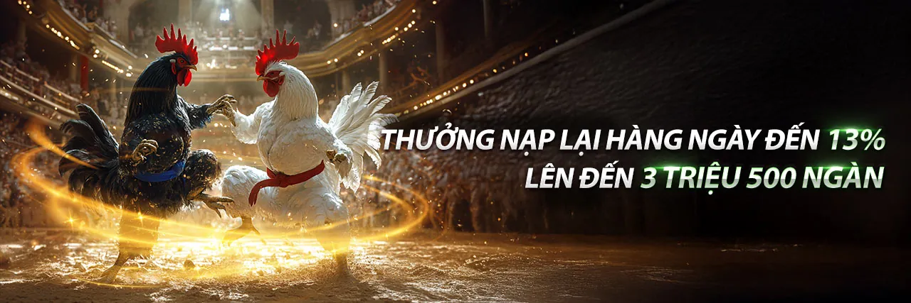 Đá Gà Trực Tuyến G666 Khuyến Mãi 2026
